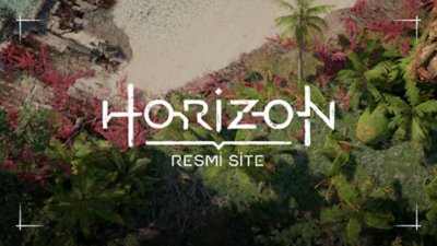 Horizon Giriş kısmı