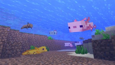 Screenshot from 'Minecraft'