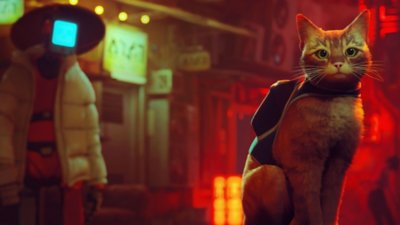 Stray key art